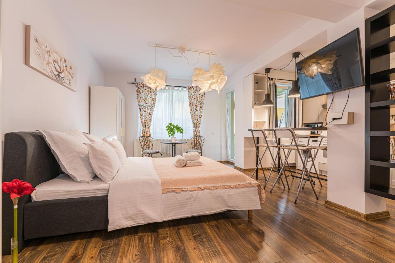 Alessia Home Studio Брашов Экстерьер фото